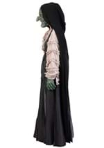 Adult Premium Witch Costume Alt 8