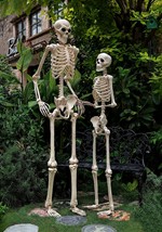 74" Skeleton Alt 2