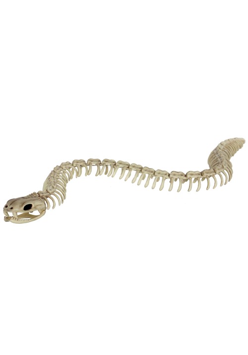36-Inch Skeleton Snake Poseable Decoration | Animal Skeletons