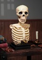 Skeleton Bust with Light Sound Decoration UPD 1