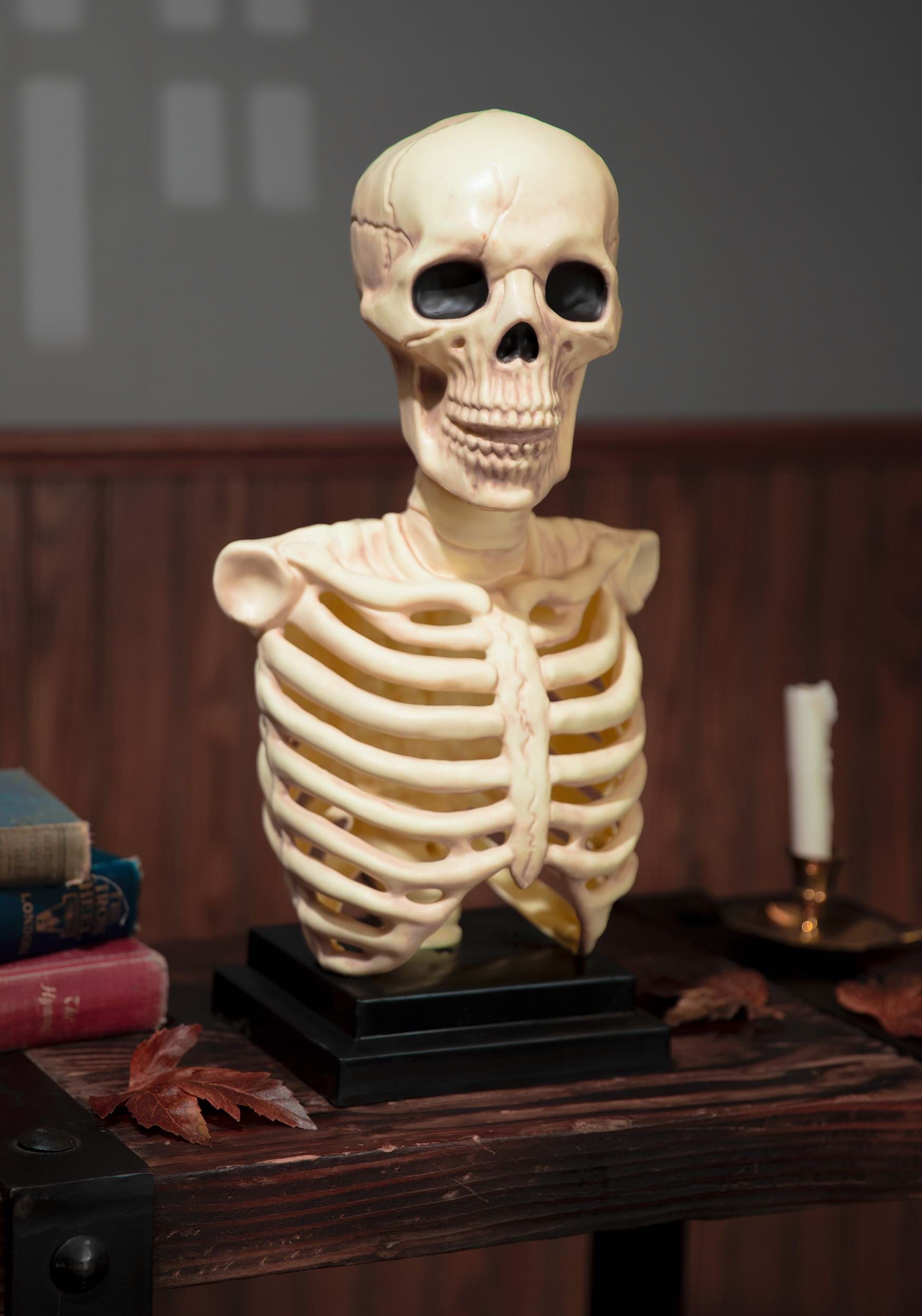 16-Inch Skeleton Bust with Light & Sound Prop