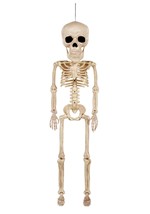 38" Super Skull Skeleton Alt 2