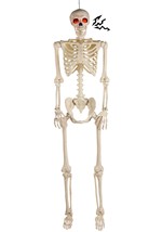 Deluxe Flaming Light Up Eyes & Talking Skeleton Alt 5