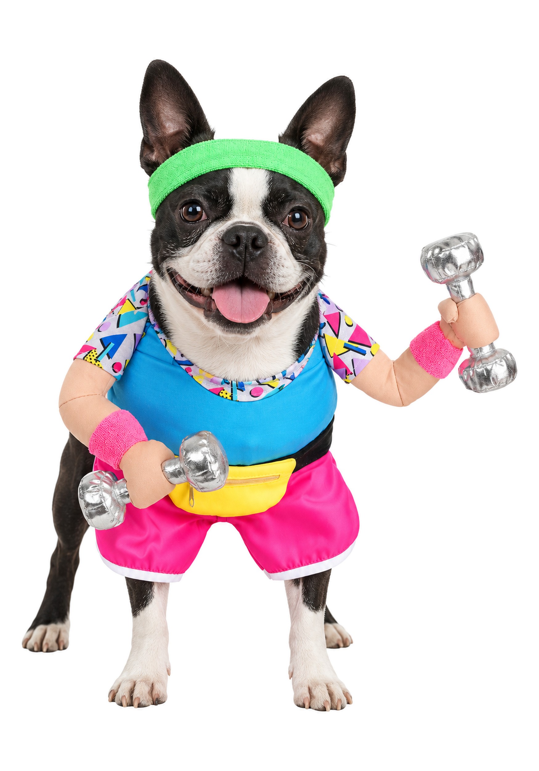 1980s Work Out  Pet Costume | Halloween Pet Costumes
