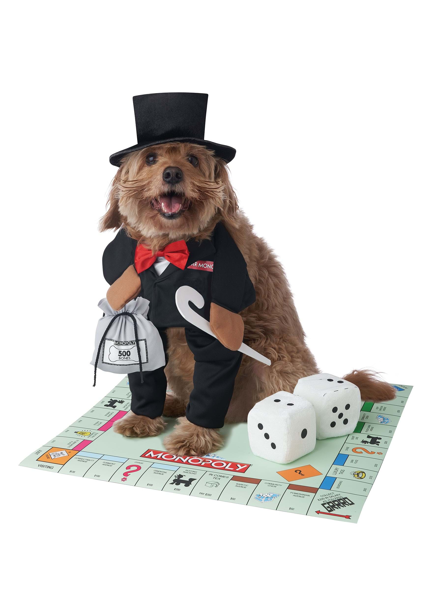 Mr. Monopoly Dog Costume , Board Game Pet Costumes