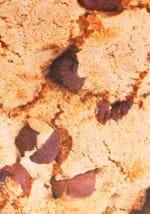 Child Chocolate Chip Cookie Alt 2