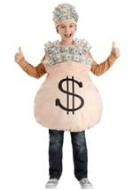 Kids Money Bag Costume