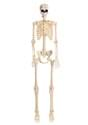 Poseable Frankenstein Skeleton Decoration