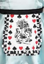 Adult Deluxe Punky Alice Costume Alt 7