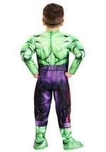 Marvel Classic Incredible Hulk Toddler Costume Alt 1