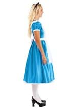 Adult Deluxe Disney Alice Costume Alt 8