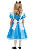 Toddler Deluxe Disney Alice Costume Alt 4
