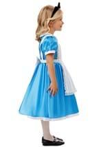Toddler Deluxe Disney Alice Costume Alt 6