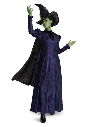 Click Here to buy Adult Wicked Deluxe Elphaba Costume | Wicked Costumes from HalloweenCostumes, CDN Funds & Shipping