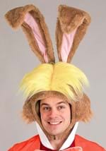 Adult Disney Alice in Wonderland March Hare Costum Alt 5