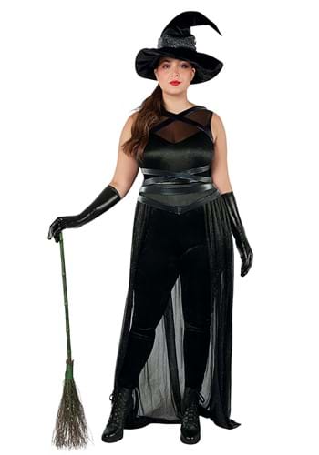 Plus Size Sexy Raven Witch Costume