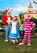Kid's Disney Cheshire Cat Costume Alt 5