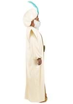Plus Size Disney Aladdin Sultan Costume Alt 7