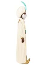 Adult Disney Aladdin Sultan Costume Alt 7
