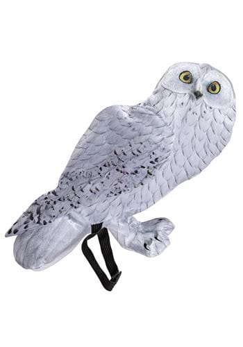 Click Here to buy Harry Potter Hedwig Costume Accessory | Costume Accessories from HalloweenCostumes, CDN Funds & Shipping