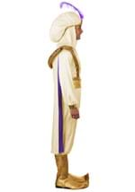 Adult Disney Aladdin Prince Ali Costume Alt 9