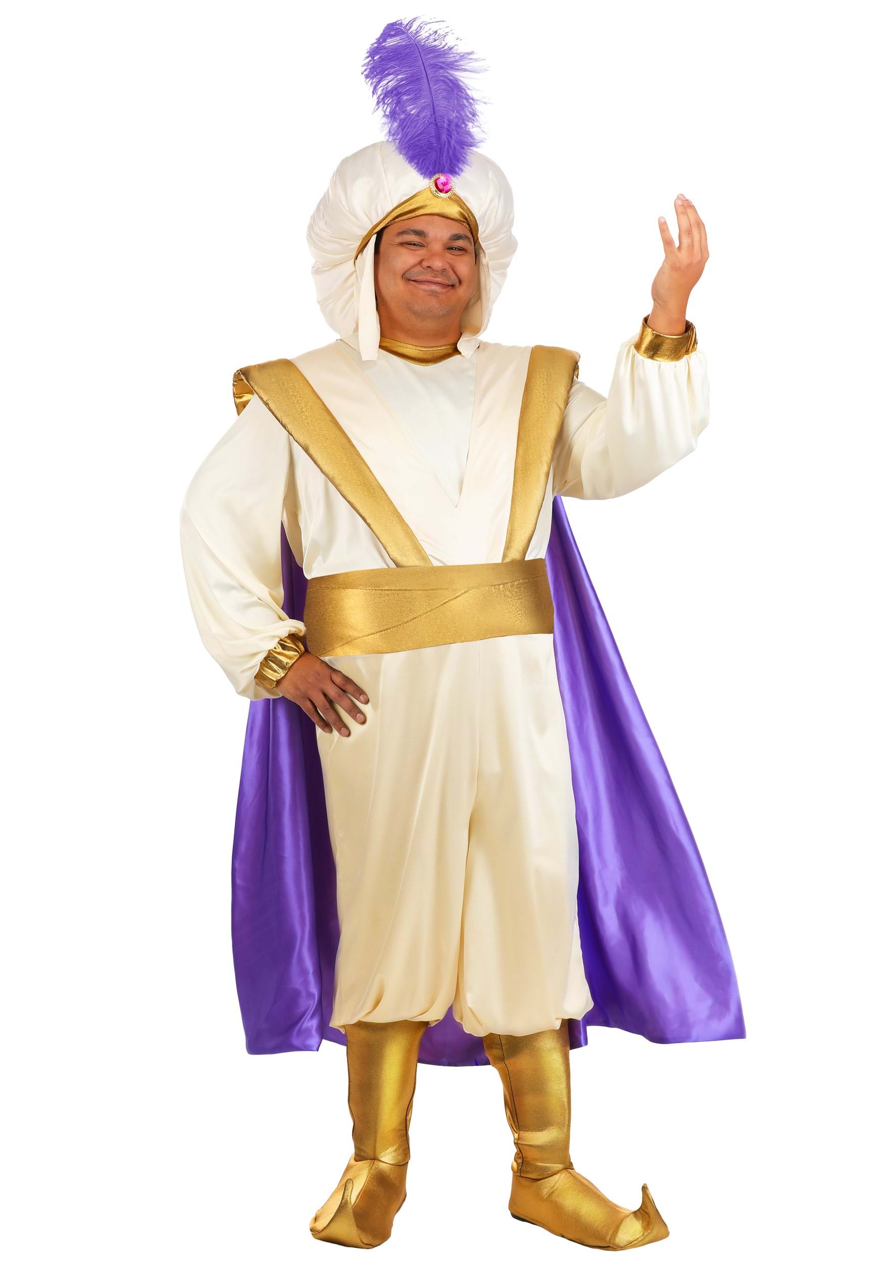 Plus Size Disney Aladdin Prince Ali Men's Costume | Disney Costumes