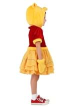Toddler Disney Winnie the Pooh Costume Dress Alt 4
