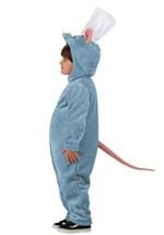 Toddler Pixar Ratatouille Remy Baby Costume Alt 3