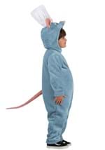 Toddler Pixar Ratatouille Remy Baby Costume Alt 5