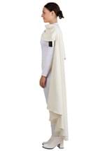 Adult Deluxe Star Wars Padme Costume Alt 4