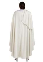 Plus Size Deluxe Star Wars Padme Costume Alt 5