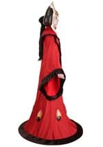 Adult Deluxe Star Wars Queen Amidala Costume Alt 8