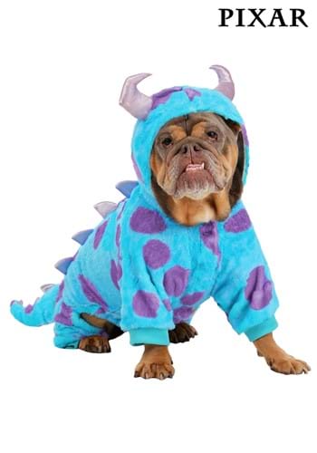 Disney Pixar Sulley Dog Costume