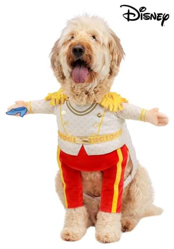 Disney Prince Charming Dog Costume