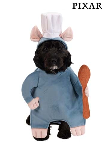 Disney Pixar Remy Pet Costume