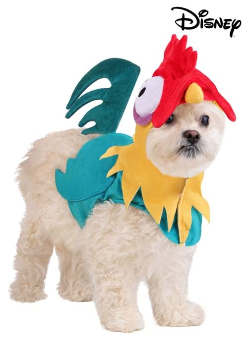 Disney Moana Hei Hei Dog Costume