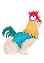 Disney Moana Hei Hei Dog Costume Alt 5