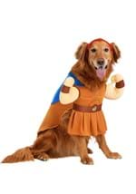 Disney Hercules Dog Costume Alt 1