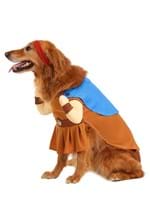 Disney Hercules Dog Costume Alt 2