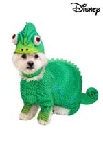 Disney Tangled Pascal Dog Costume