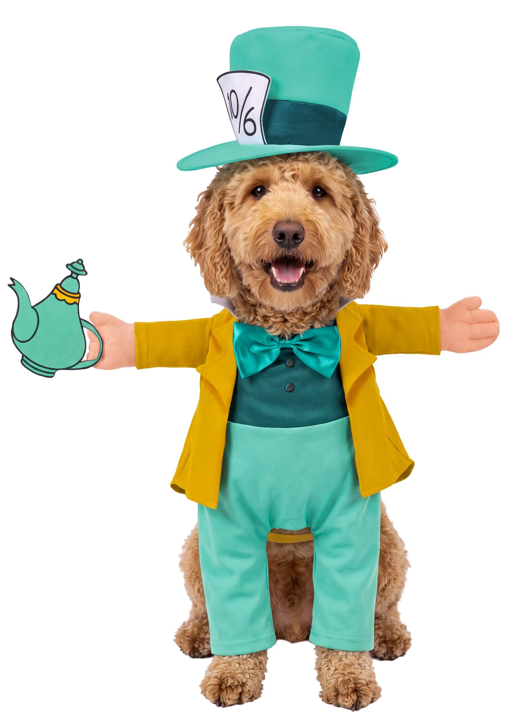 Classic Disney Pet Mad Hatter Costume | Disney Costumes