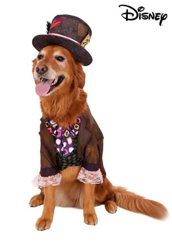 Live Action Disney Mad Hatter Dog Costume