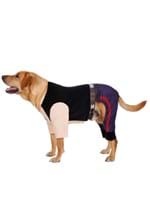 Star Wars Han Solo Dog Costume Alt 3