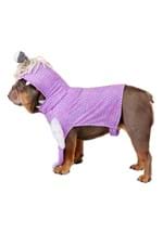 Disney Pixar Monsters Inc. Boo Dog Costume Alt 2