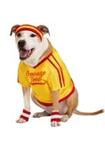 Dodgeball Average Joe's Pet Costume Alt 2