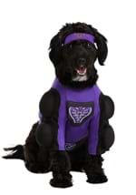 Globo Gym Dodgeball Dog Costume Alt 2