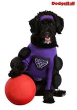 Globo Gym Dodgeball Dog Costume Alt 4