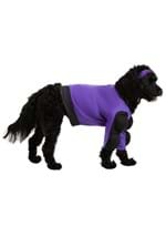 Globo Gym Dodgeball Dog Costume Alt 5