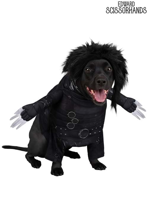 Edward Scissorhands Dog Costume