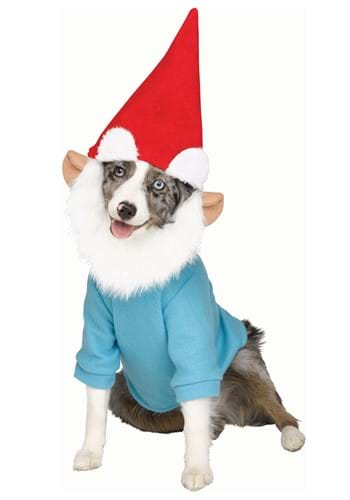 Puppy Gnome Pet Costume